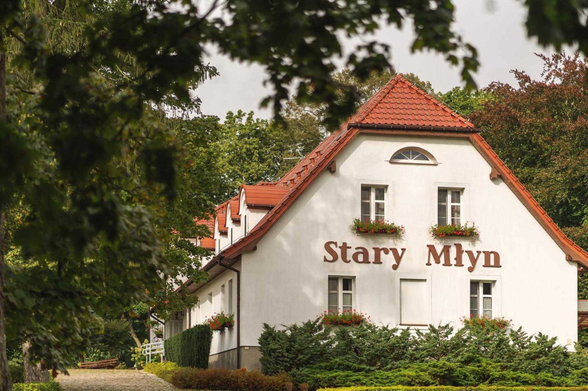 فندق Stary Mlyn Strzeszyn Lubowo  المظهر الخارجي الصورة